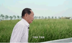 1605504614427313.png 圖片.png